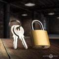 Brass Collar Padlock