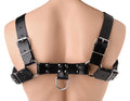 "English Bull Dog Harness STR-AD681"