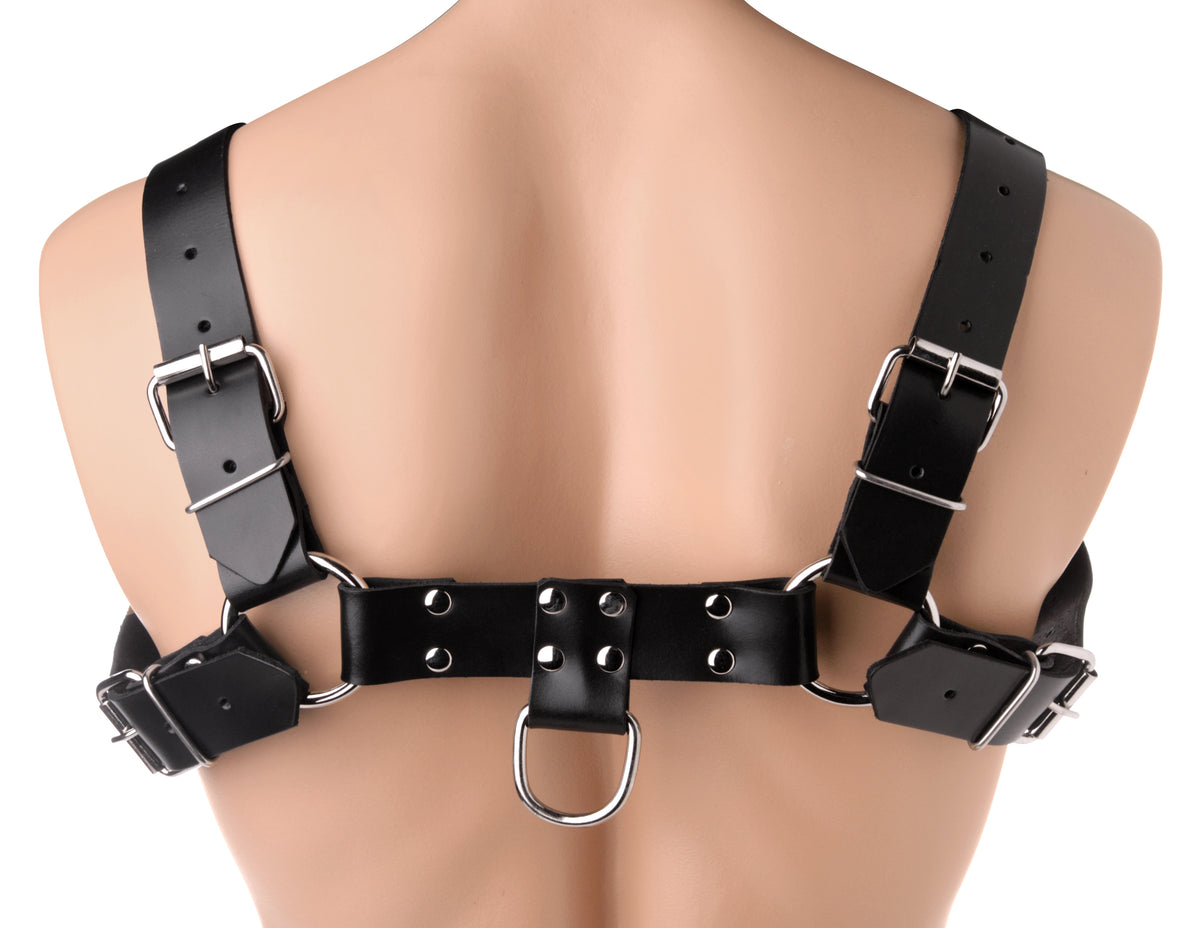 "English Bull Dog Harness STR-AD681"