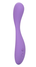 "Contour Demi - Purple SE4382053"