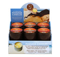"Pre Pack - 12pc Summer Candle Display - 6oz - With Tester EB-HSCS021D"